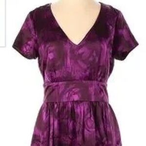 Banana Republic Purple Silk Dress Size 4
